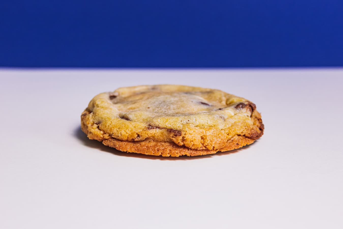 Fuwamai The Fuwamai Giant Cookie